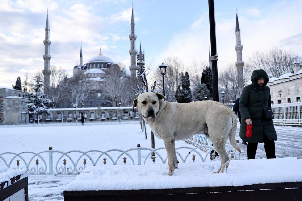 Türkiye prepares for colder weather as winter forecasts point to heavy snowfall