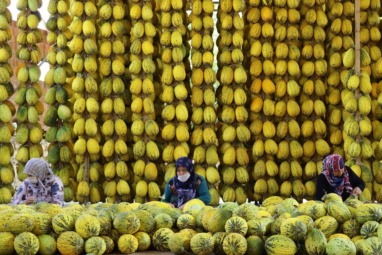 Türkiye’s 'citizenship income' pilot: What the program means for low-income households