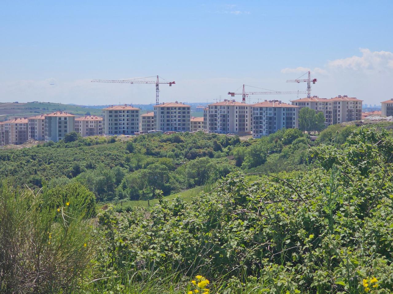 Cranes tower over rows of TOKI apartment buildings under construction on former greenfield land around Baklali Village in Arnavutkoy, Istanbul, Türkiye, Jun. 6, 2025. (Photo via X/@kuzeyormanlari)