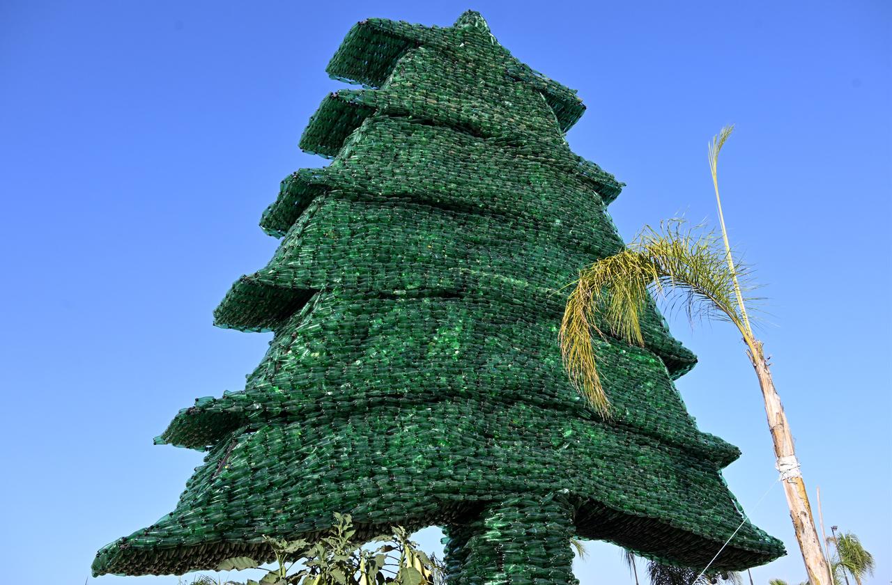 Caroline Chaptini, 450.000 şişeden yaptığı 10 metrelik plastik sedir ağacıyla Guinness Dünya Rekoru'na girdi. Lübnan, 23 Kasım 2025. (AA Fotoğraf)