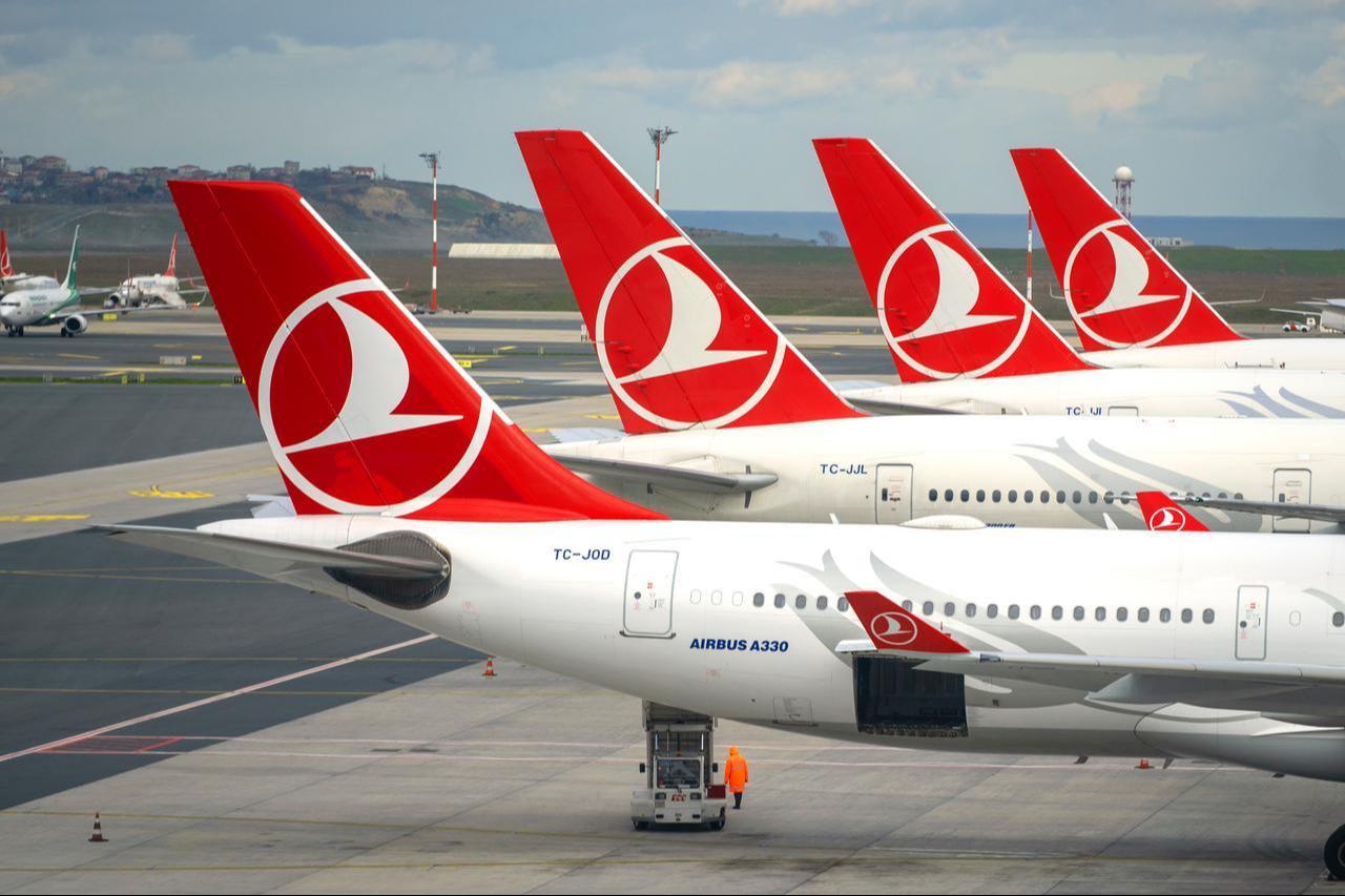 Photo shows row of planes with Turkish Airlines logotype on surface at Istanbul Airport on January 23, 2024. (Adobe Stock Photo)