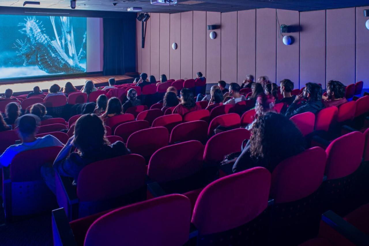Pera Museum Cinema hosting a documentary screening focused on marine life in Istanbul, Türkiye, accessed on March 16, 2025. (Photo via Pera Museum)
