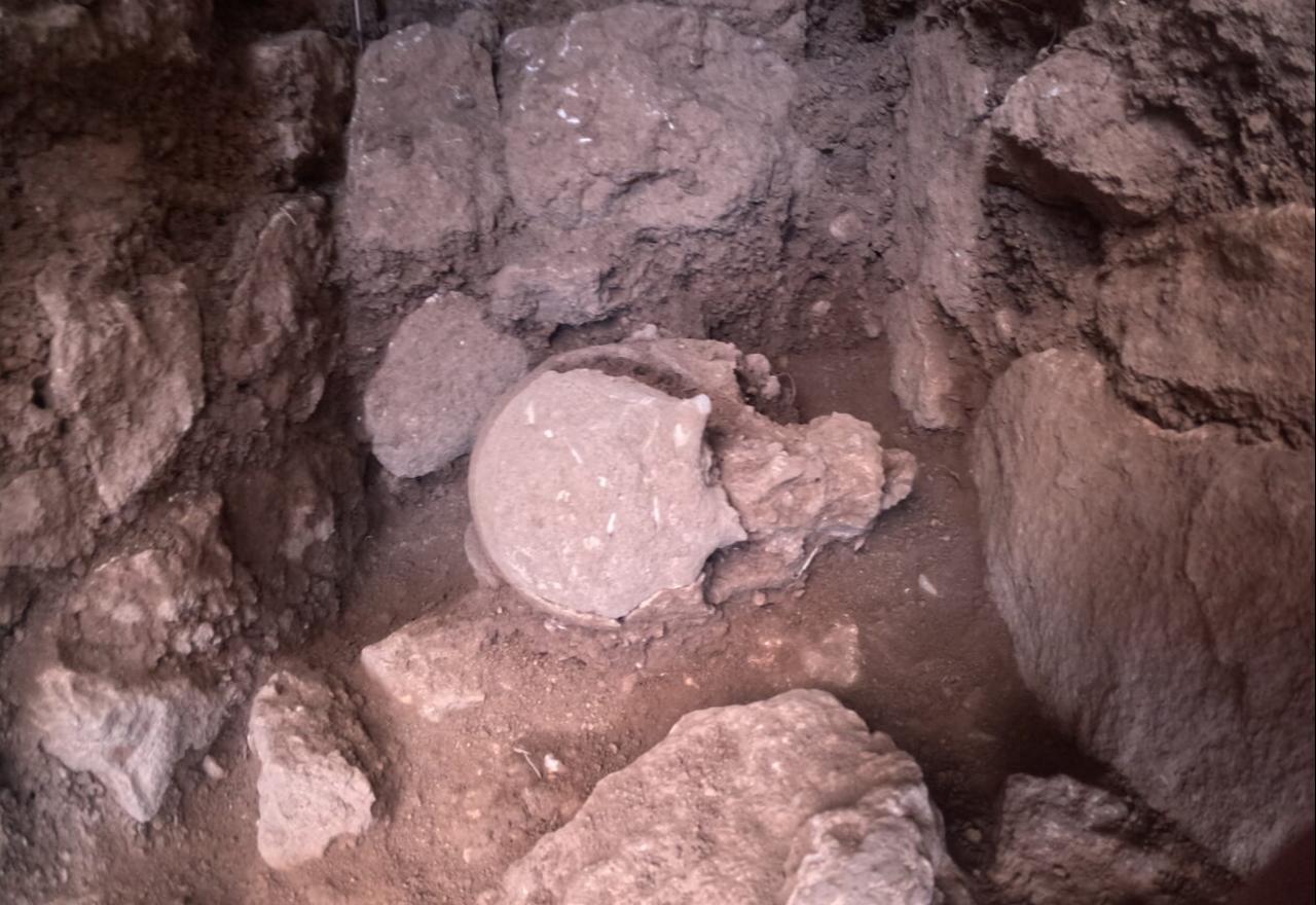 A human skull placed within a designated deposition area known as the “skull room” at Sefertepe, where selected crania were arranged separately from the rest of the body during the Pre-Pottery Neolithic period. (Photo via Sefertepe Excavations)