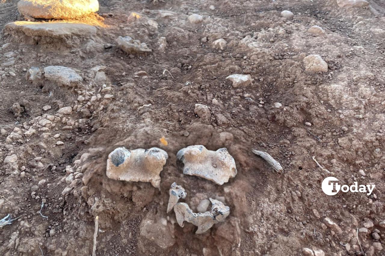 Gazelle skulls reveal prehistoric rituals at Cakmaktepe, oldest settlement of Tas Tepeler