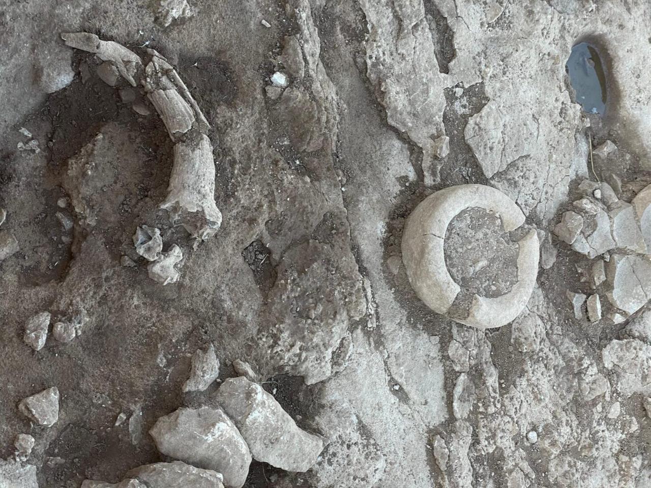 Fragmented remains of a circular stone object and possible animal bone element uncovered on the floor of a communal structure at Cakmaktepe, offering clues to early Neolithic ritual practices. (Photo by Koray Erdogan/Türkiye Today)