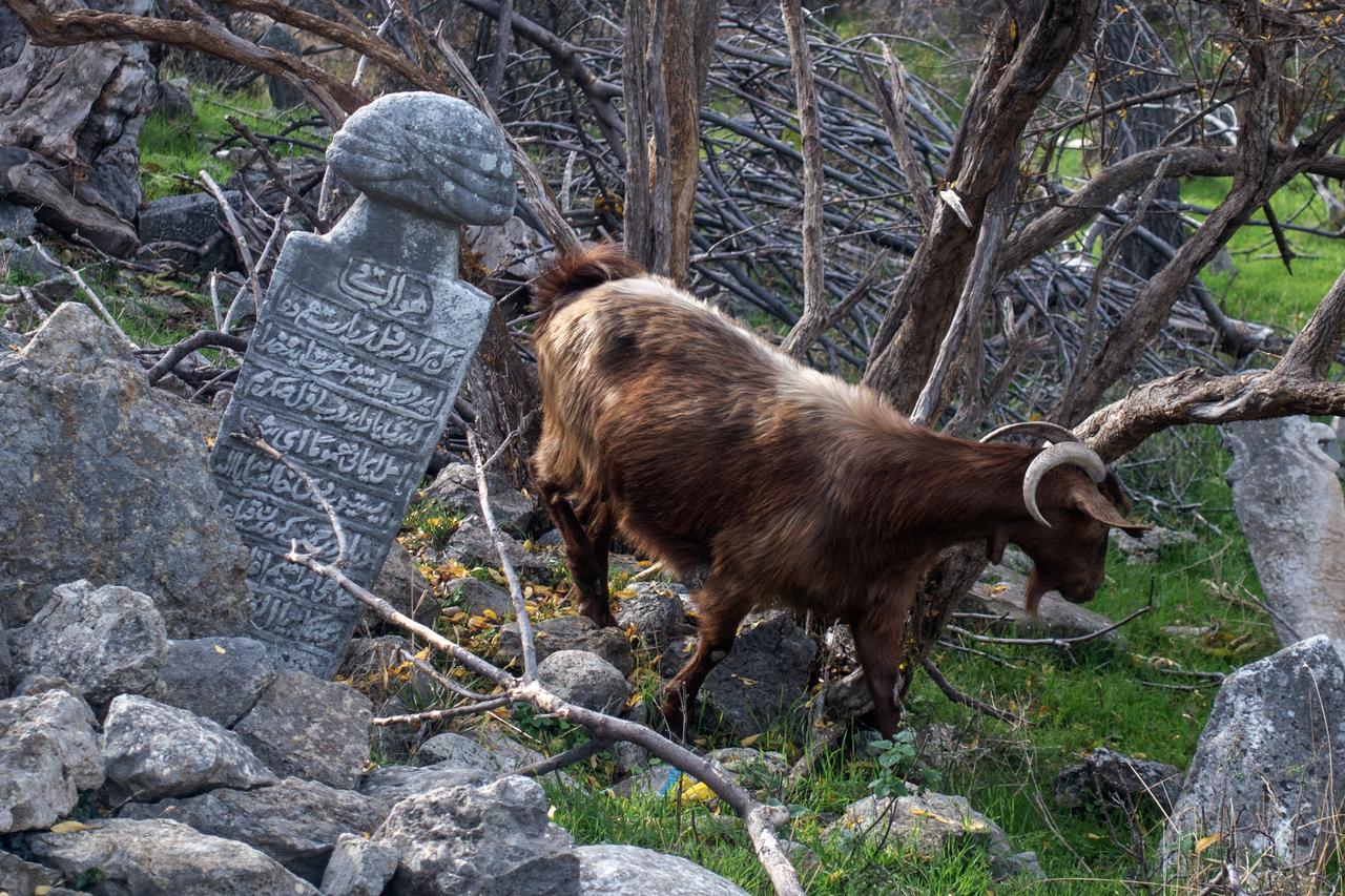 Historic Ottoman-Era cemeteries in Xanthi face ongoing deterioration amid new restrictions