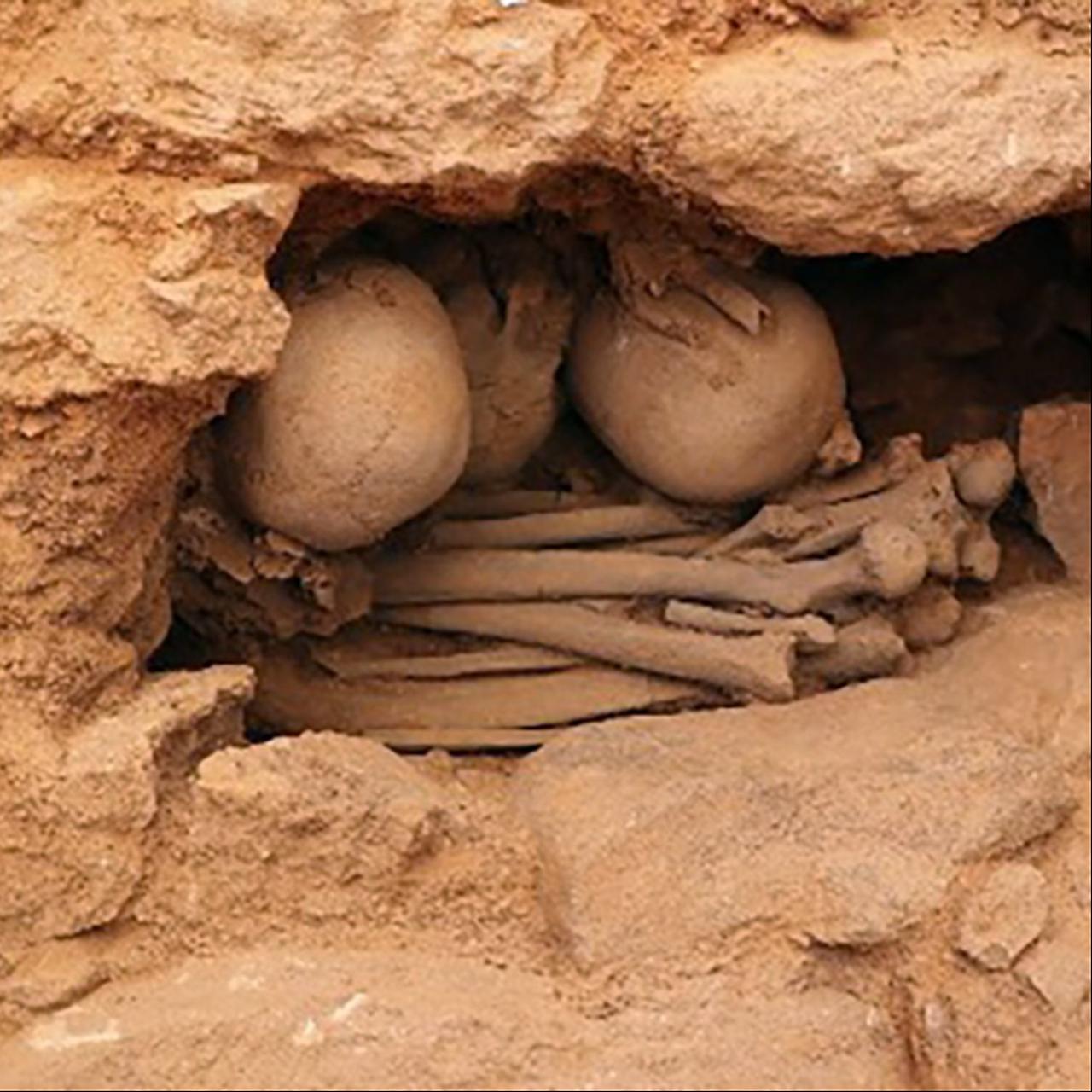 Close-up view of a tightly arranged burial niche at Sayburc, where skulls and limb bones were placed together during the Pre-Pottery Neolithic period. (Photo via Instagram/@arkeolojihaber)