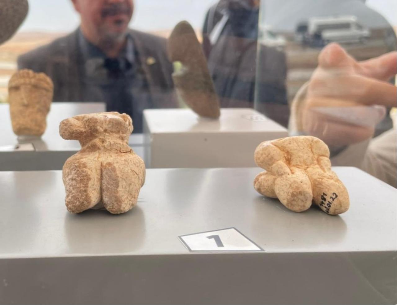 Overweight limestone Neolithic figurines discovered at Gurcutepe, displayed during the Karahantepe anniversary event, highlighting unique symbolic expressions of late Pre-Pottery Neolithic communities. (Photo by Koray Erdogan/Türkiye Today)