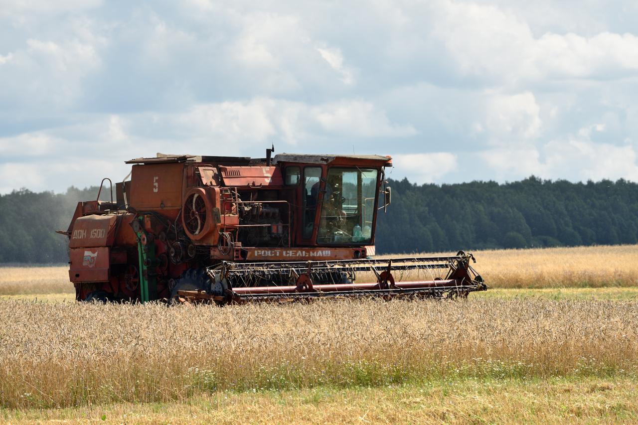 Türkiye resumes Russian wheat imports, buying 300,000 tons for 1st time since 2023