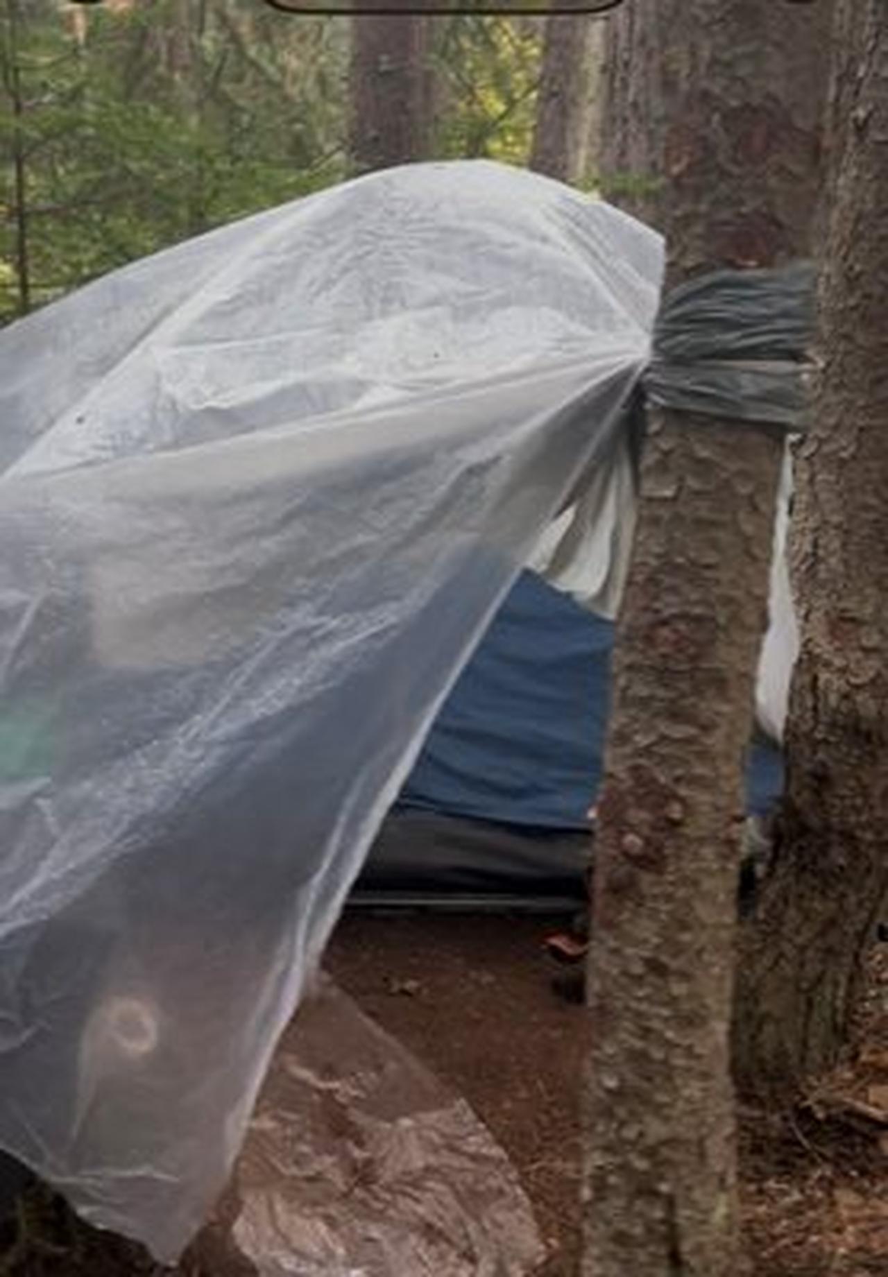 The man's tent in Pirin National Park in Bulgaria. (Photo via Pirin National Park)