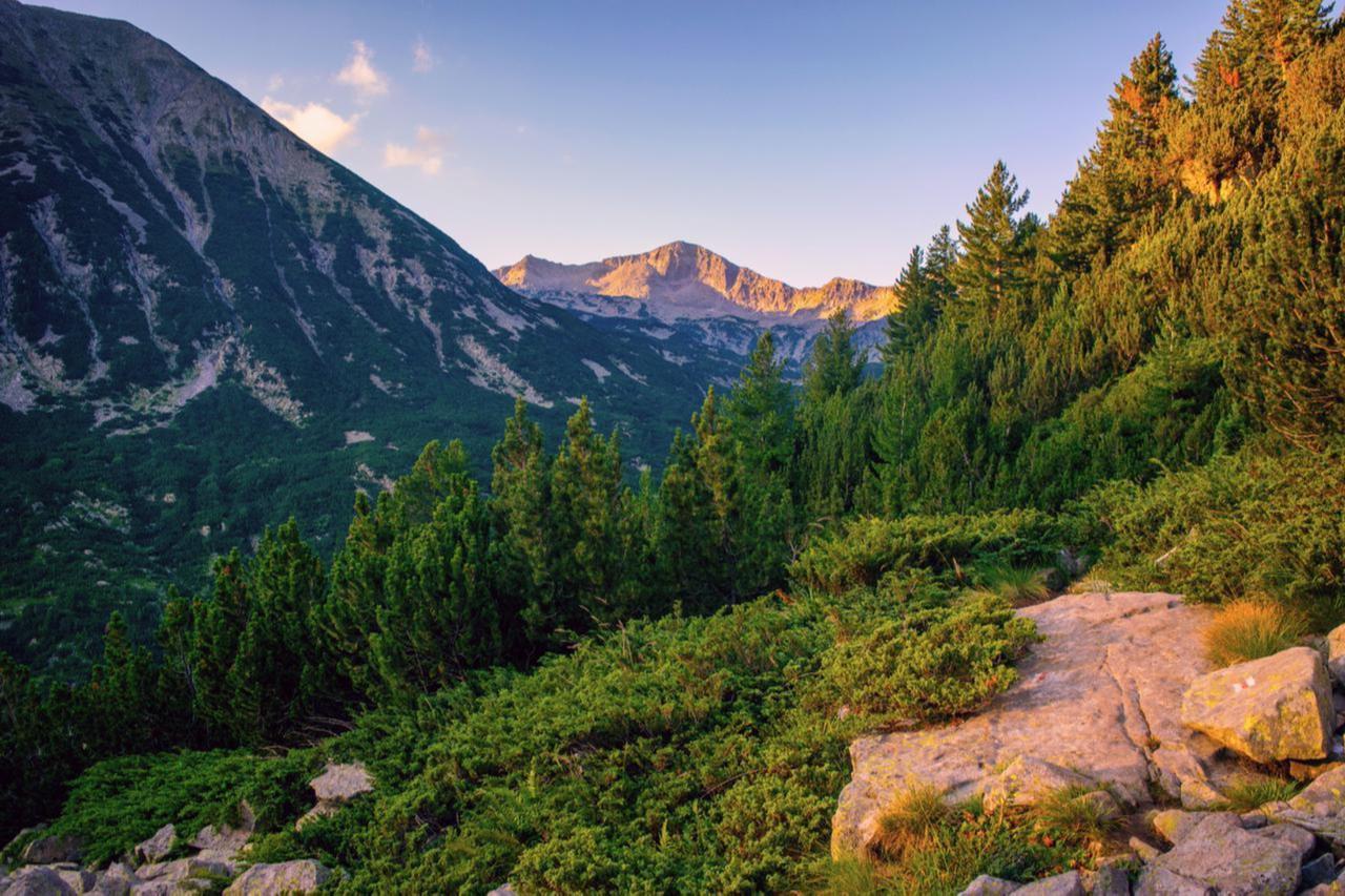 Bulgarian man who went missing 17 years ago found alive in Pirin National Park