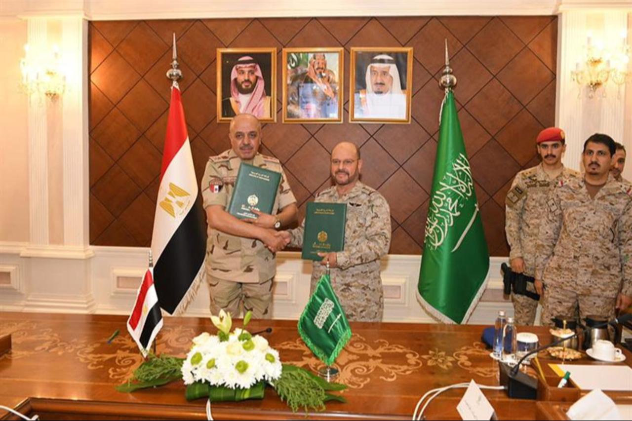 Joint Egyptian-Saudi military expansion draws Israeli security alarm: Report