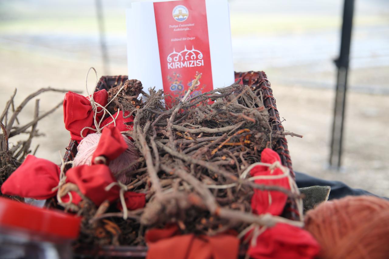 Legendary 'Edirne Red' gains wider use through Trakya University’s research efforts. Edirne, Türkiye, November 8, 2025. (AA Photo)