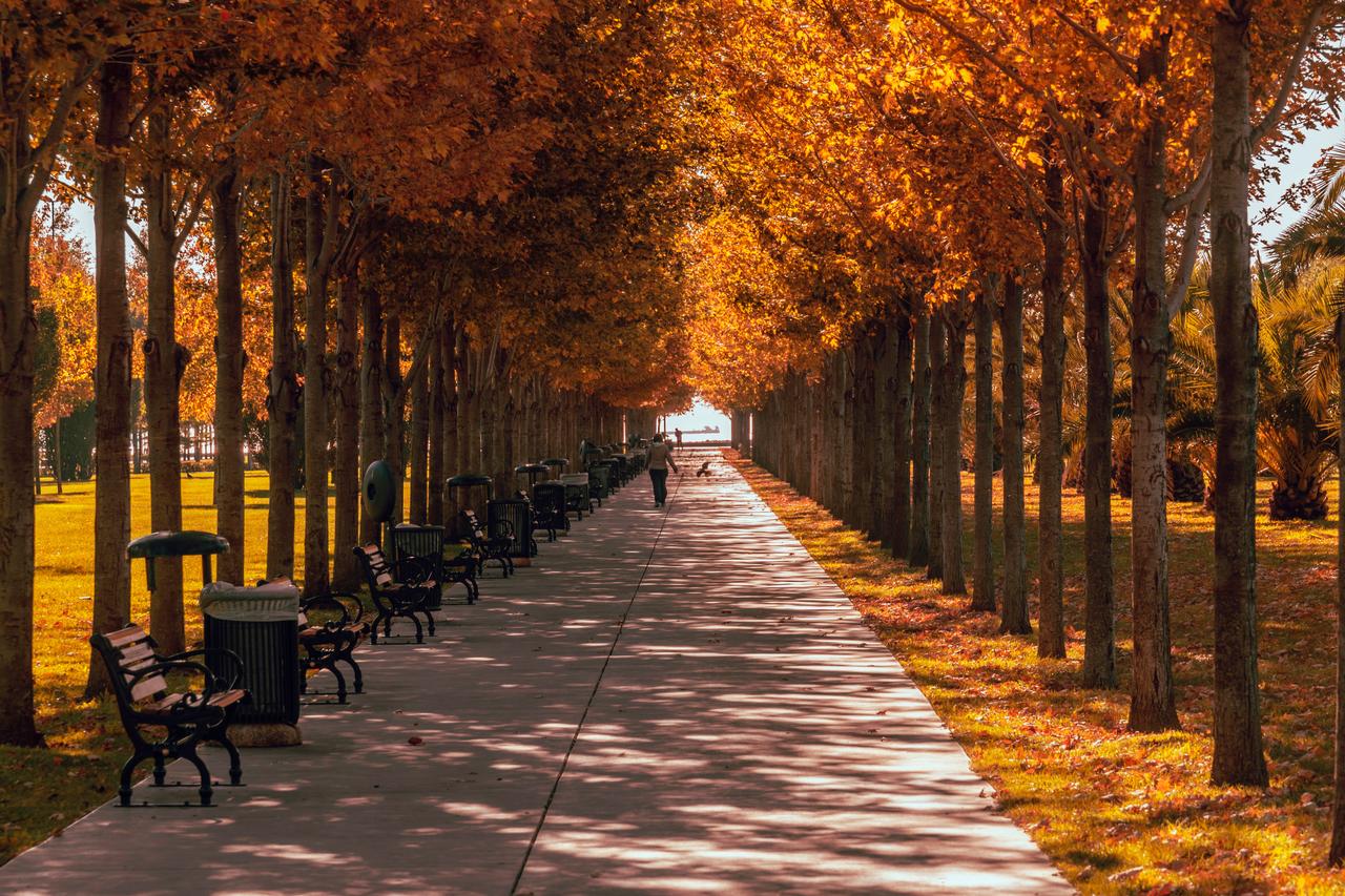 Türkiye experiences mild autumn; meteorologists share winter outlook