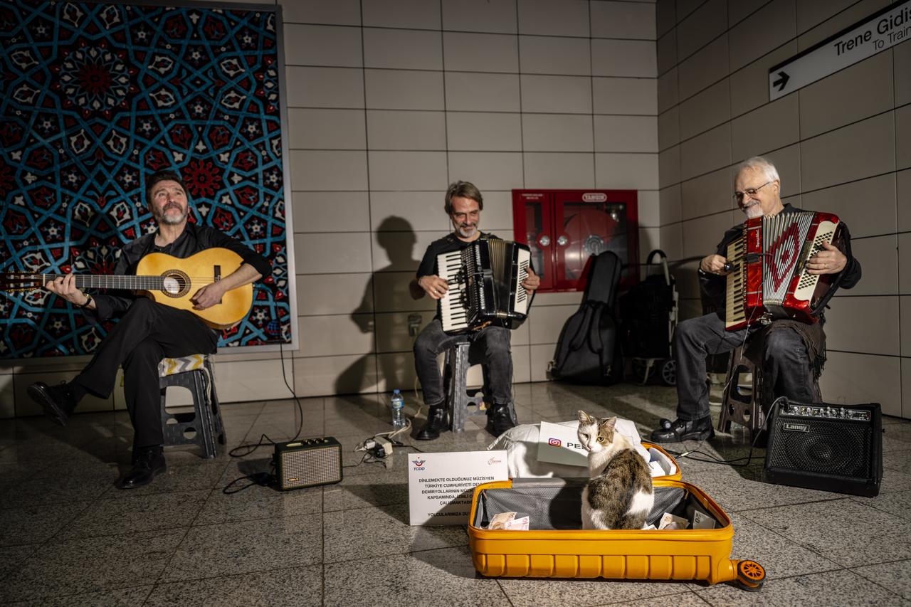 A cat named “Sirkecili” has become a beloved companion of street musicians performing on the platform at Sirkeci Marmaray Station in Istanbul, Türkiye, Nov. 7, 2025. (AA Photo)