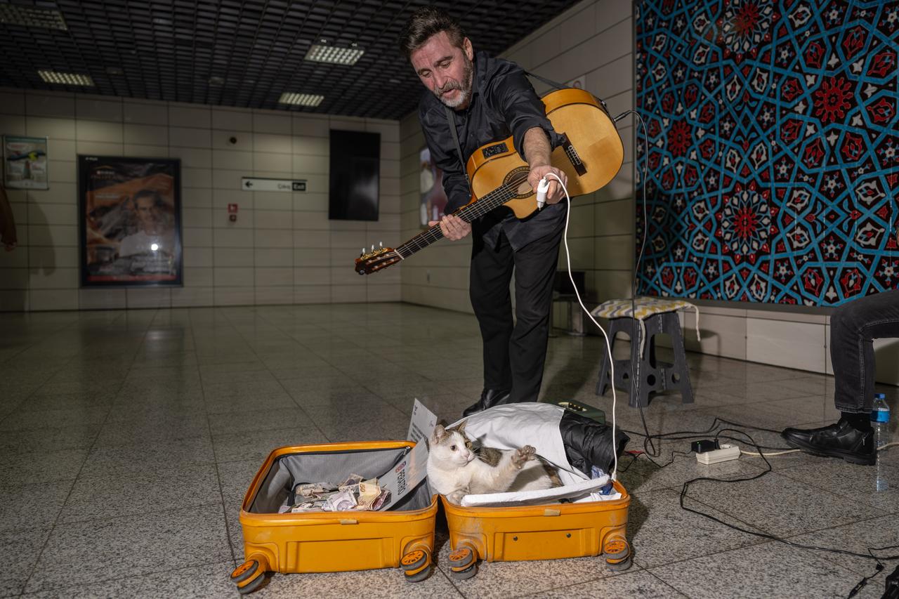 A cat named “Sirkecili” has become a beloved companion of street musicians performing on the platform at Sirkeci Marmaray Station in Istanbul, Türkiye, Nov. 7, 2025. (AA Photo)