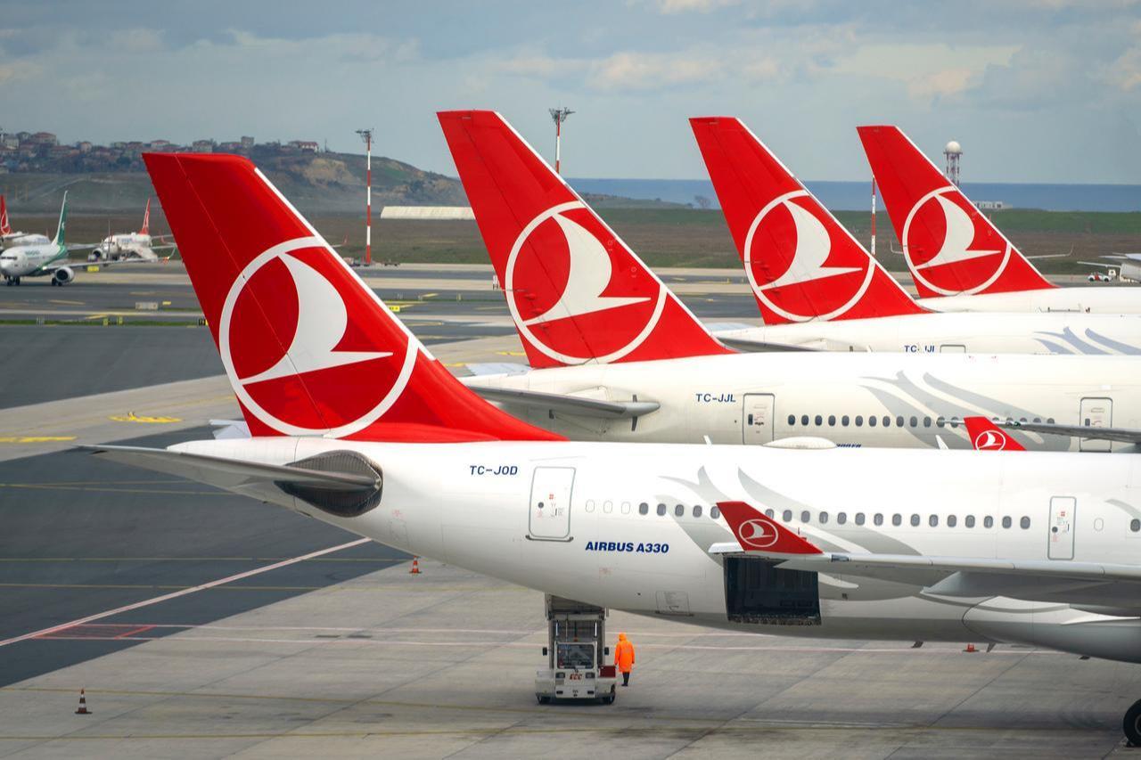 Photo shows row of planes with Turkish Airlines logotype on surface at Istanbul Airport, January 23, 2024. (Adobe Stock Photo)