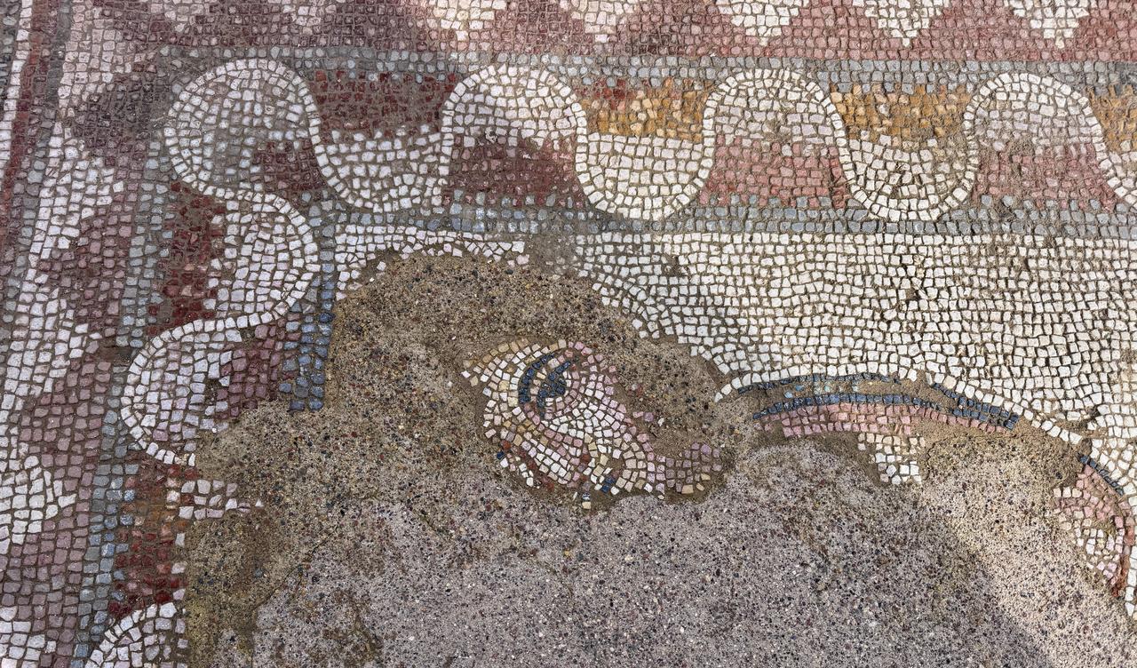 A view of detailed mosaic floor is revealed during excavations in the ancient city of Hadrianopolis in Eskipazar district, where archaeologists uncover a reception hall believed to date back to the fourth century AD in Karabuk, Türkiye, Dec. 10, 2025. (AA Photo)