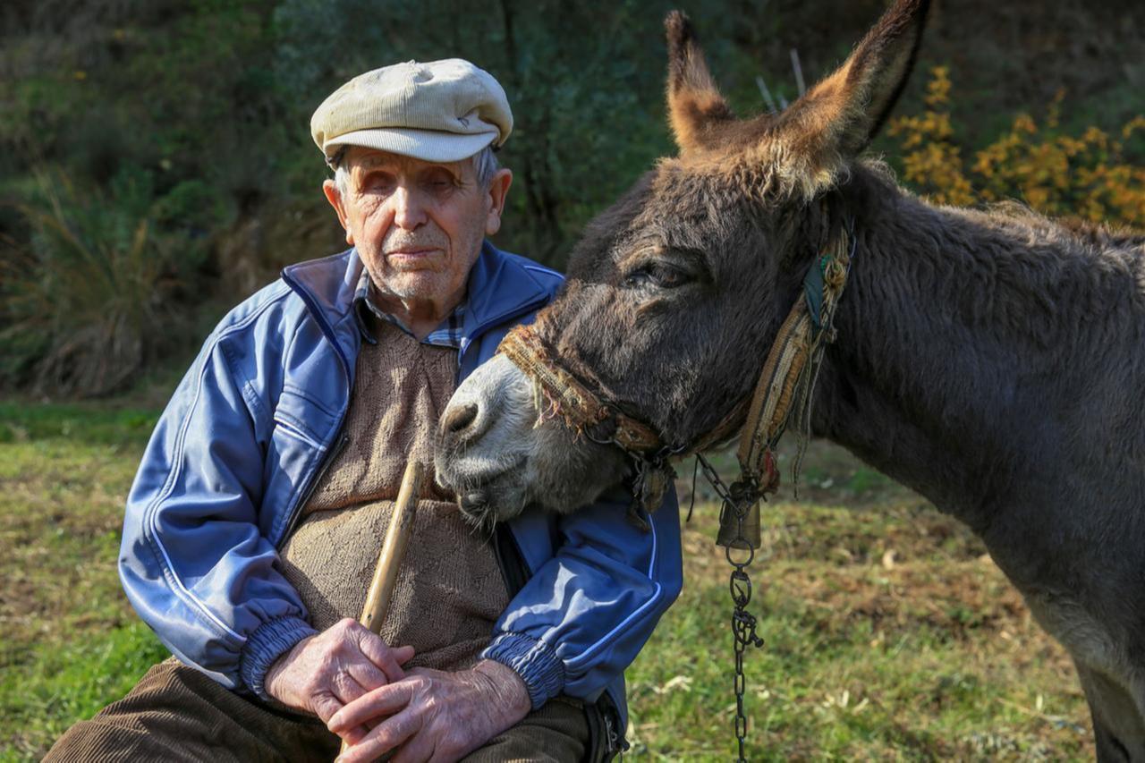 Blind Turkish villager relies on devoted donkey ‘Magare’ as his eyes and ears for 24 years
