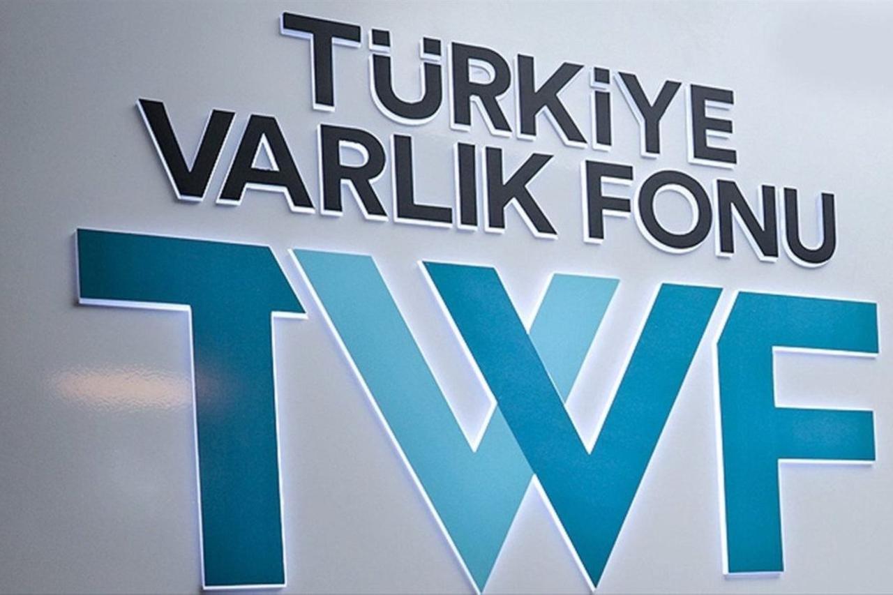 How Türkiye built one of world's largest wealth funds under a decade