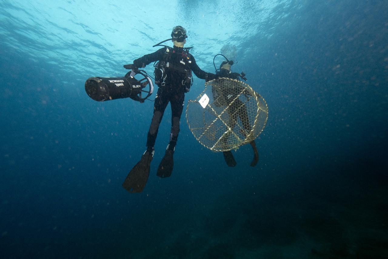 Illegal trap baskets removed from Eastern Mediterranean 