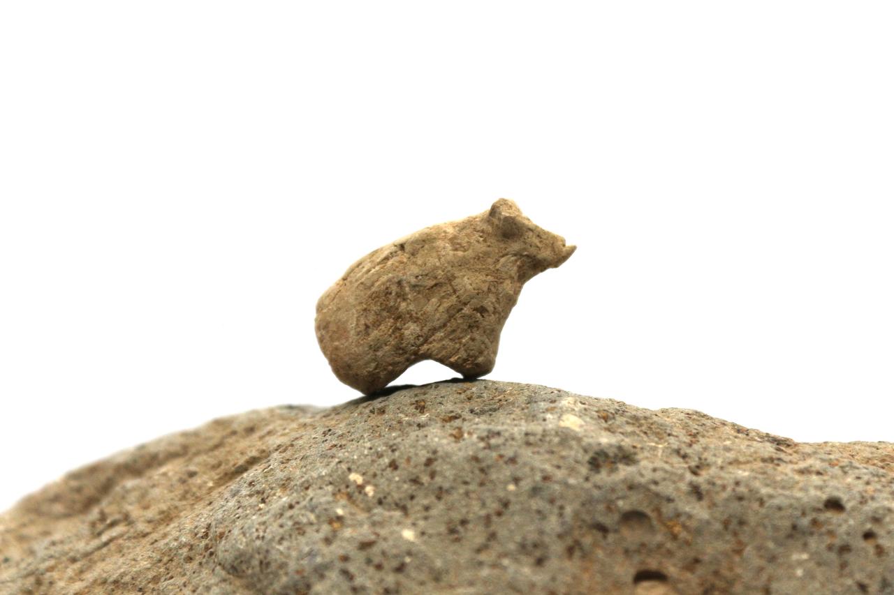 A small Neolithic clay animal figurine balances on a stone during excavations at Gurcutepe, near Sanliurfa in southeastern Türkiye. (Photo via Gurcutepe Excavations/Arkeolojihaber)