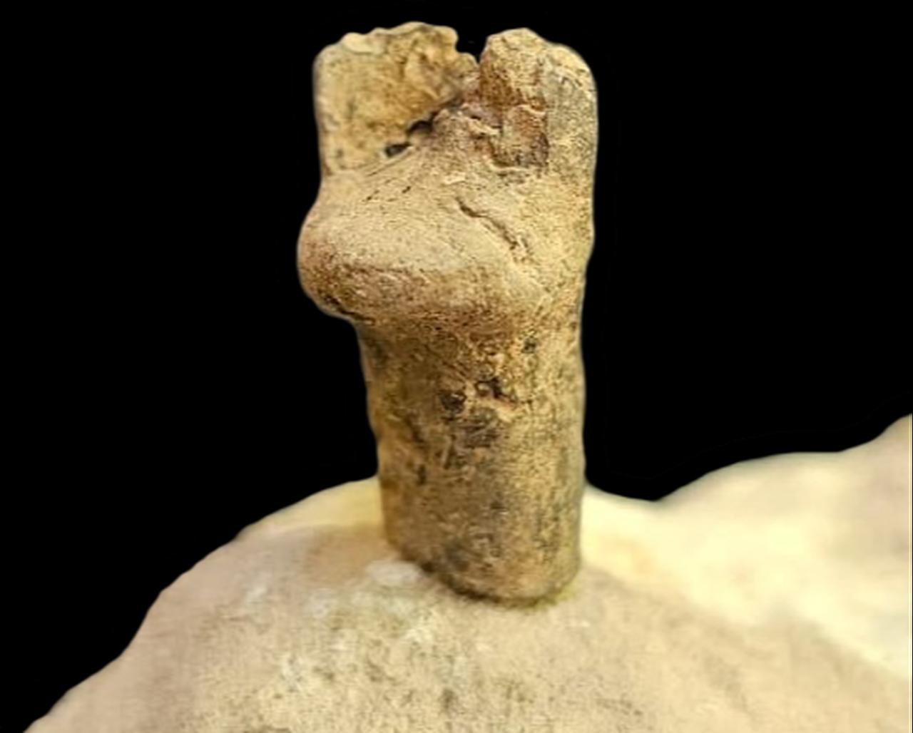 A fragmentary Neolithic clay figurine is seen during documentation in Gurcutepe, near Sanliurfa in southeastern Türkiye. (Photo via Gurcutepe Excavations/Arkeolojihaber)