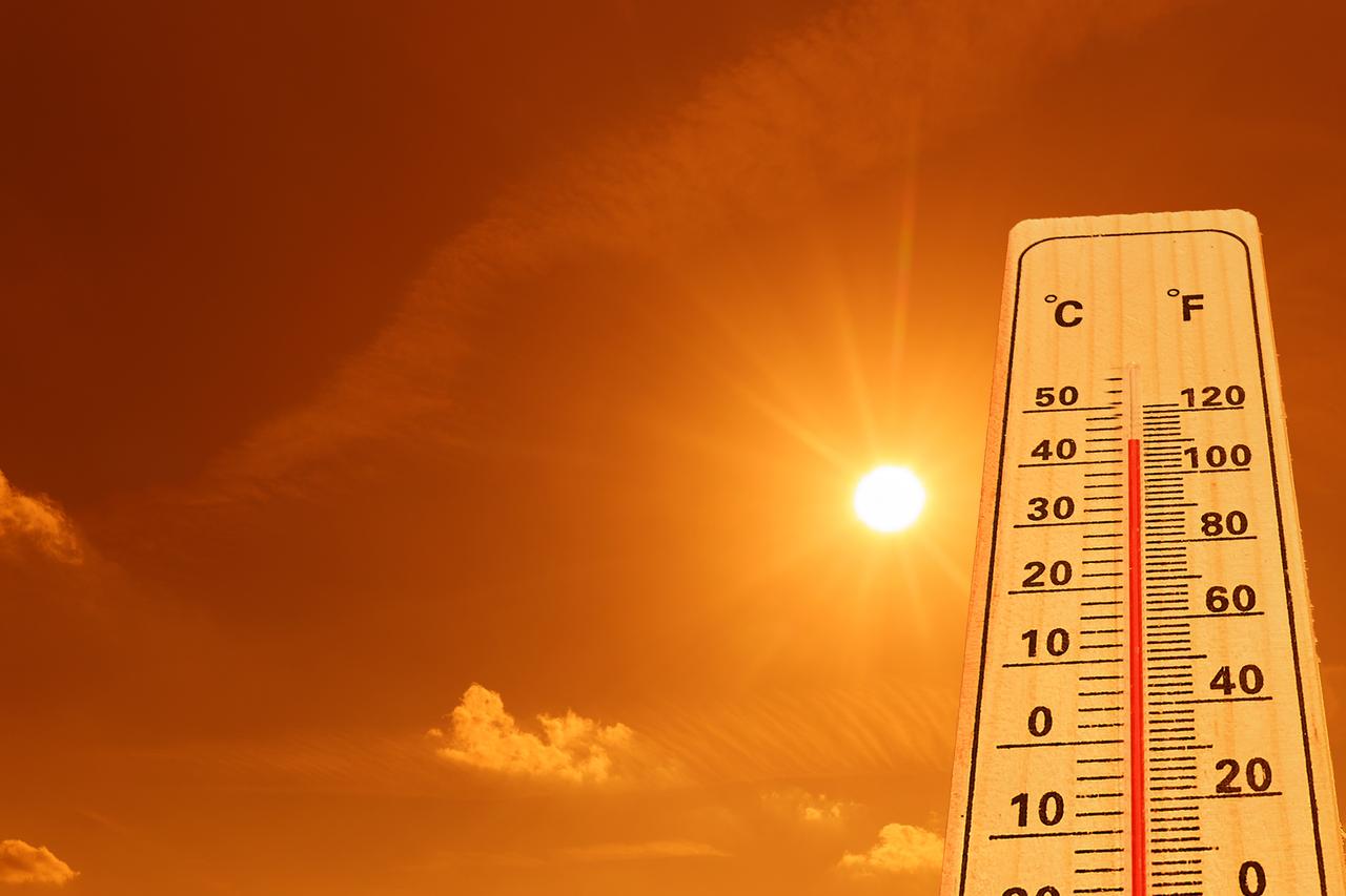 Climate change may increase risk of animal-to-human diseases, study finds