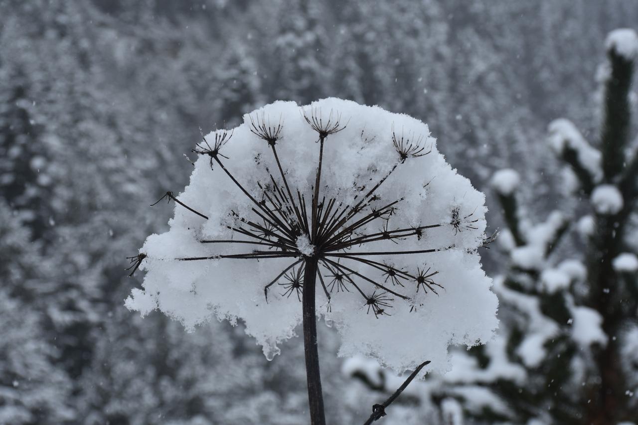 Heavy snow and freezing temperatures hit multiple provinces in Türkiye