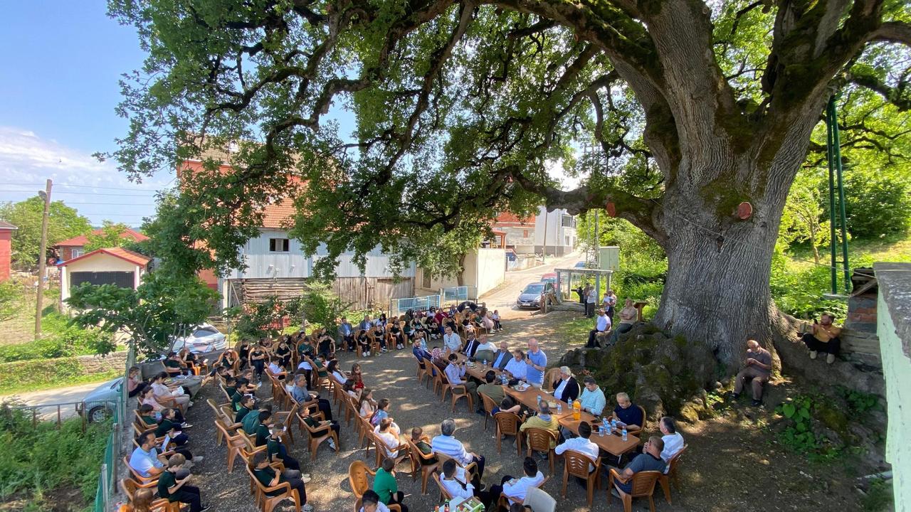 Villagers and students gather under the shade of the 677-year-old monumental oak tree, Akcabuk village, Sinop, Türkiye, June 17, 2025. (AA Photo)