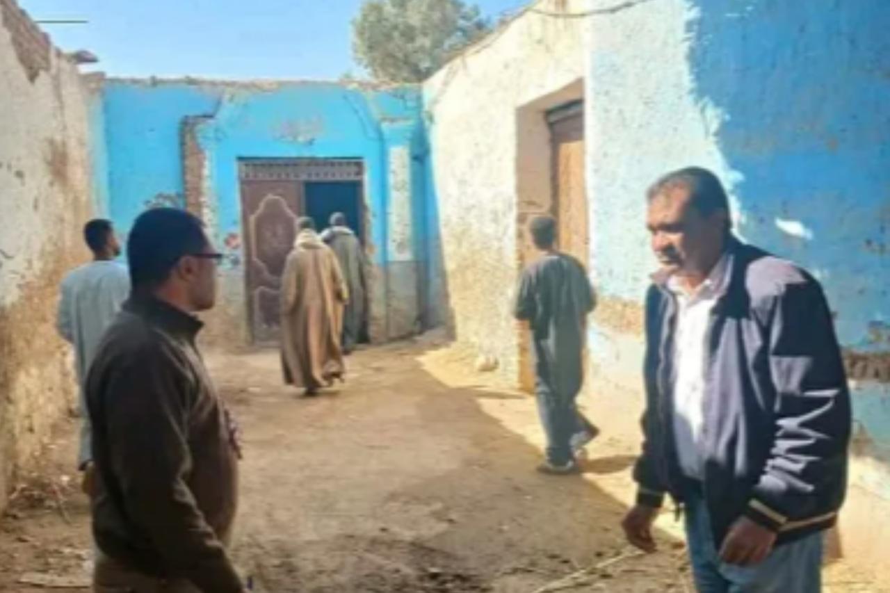 Termites blamed after 3 homes collapse in southern Egypt village