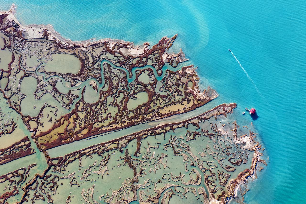 Where water becomes art: Yumurtalik Lagoon National Park, Adana