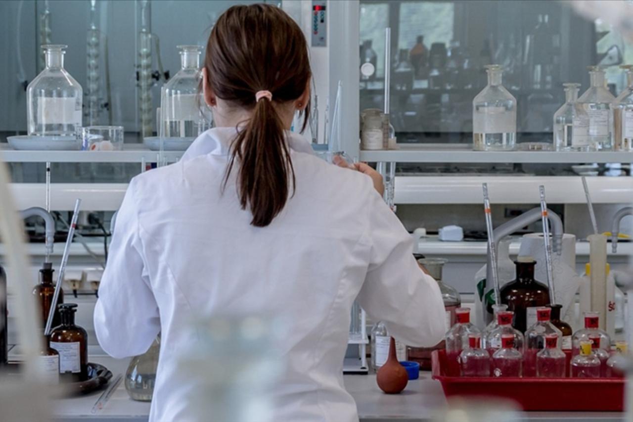 Lab-grown embryo models open new frontiers in human development research