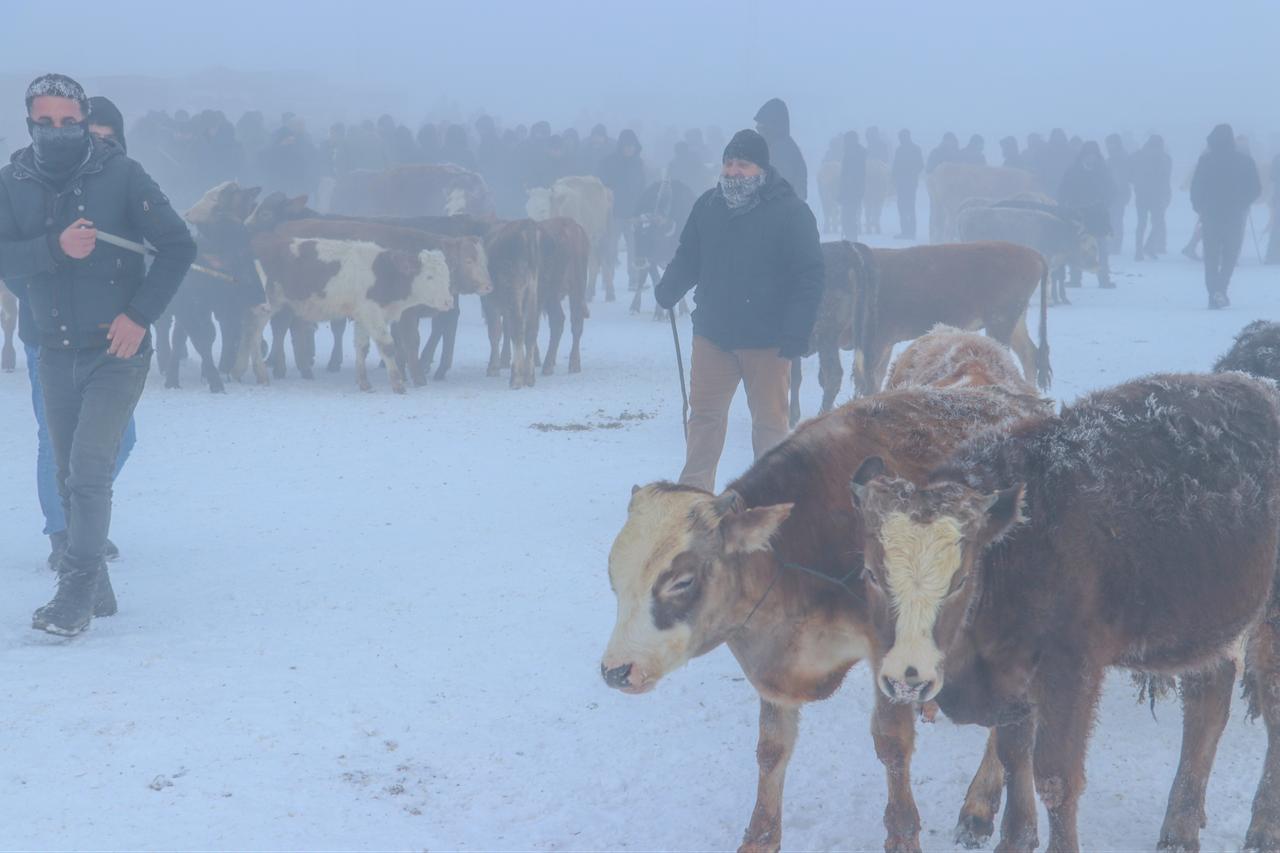 Frost formed on the eyebrows and hair of residents who went to the livestock market in the early hours. Agri, Türkiye, December 30, 2025. (AA Photo)