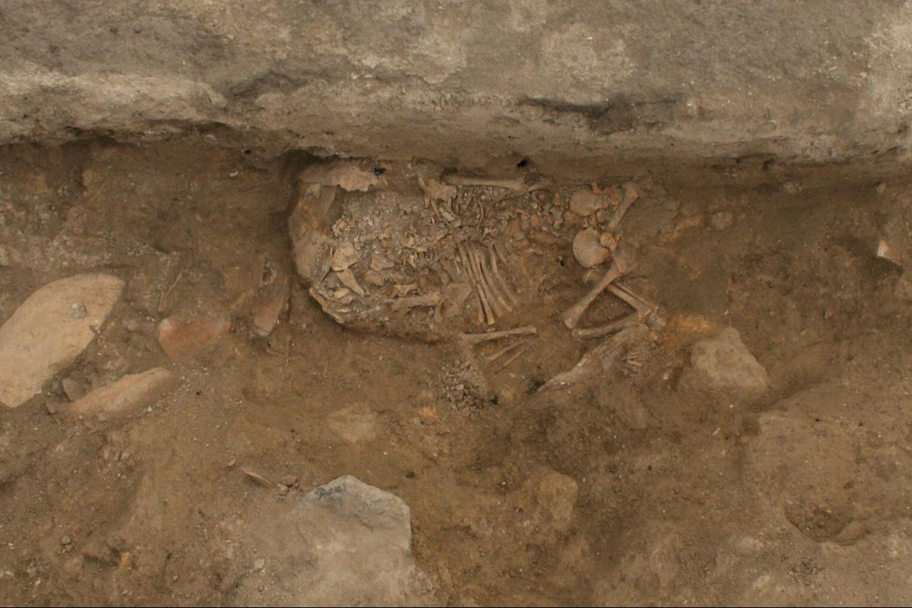 Newborns buried face-down with their heads and legs turned left between 5,900–5,800 B.C. on Catalhoyuk’s West Mound, excavated by Jana Anvari in 2009. (Photo via Catalhoyuk Research Project)
