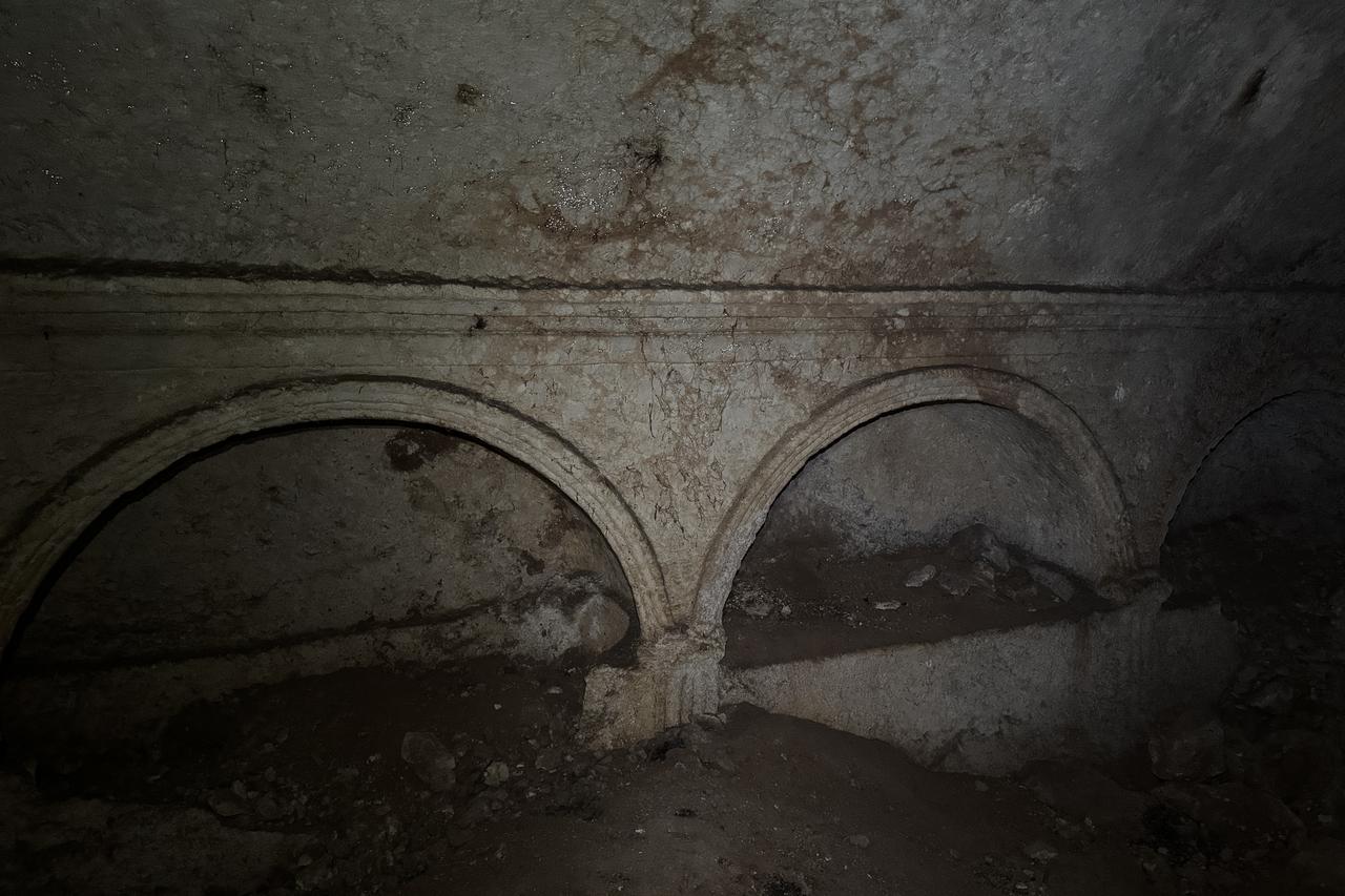 Wild goat reliefs found in rare 1,800-year-old domed tomb in Türkiye