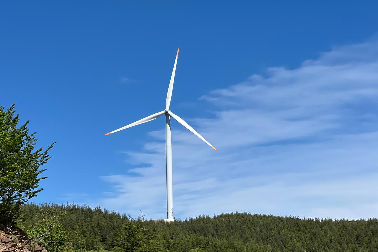 Zorlu Energy sells 150MW wind power unit in Türkiye for $117M