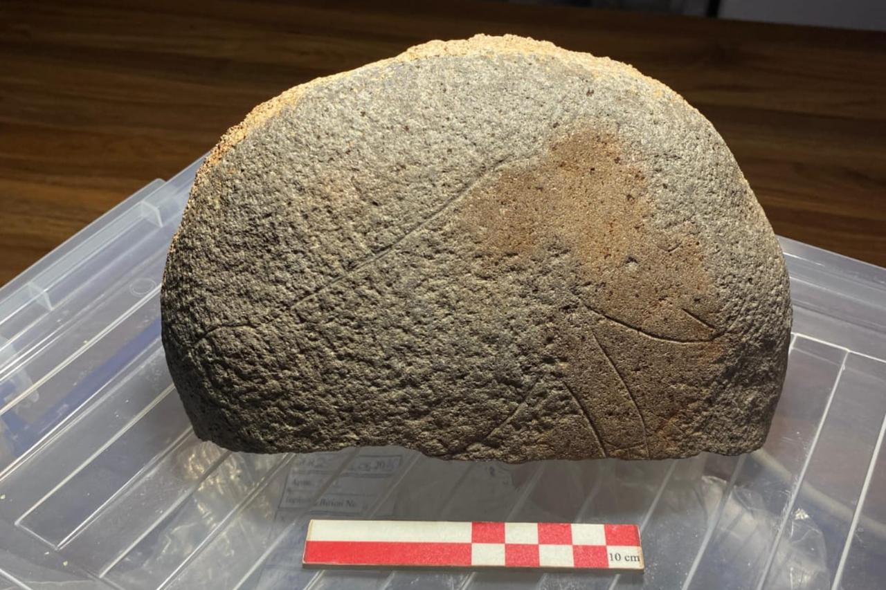 Türkiye's Sefertepe dig reveals rare carving of baby wild boar