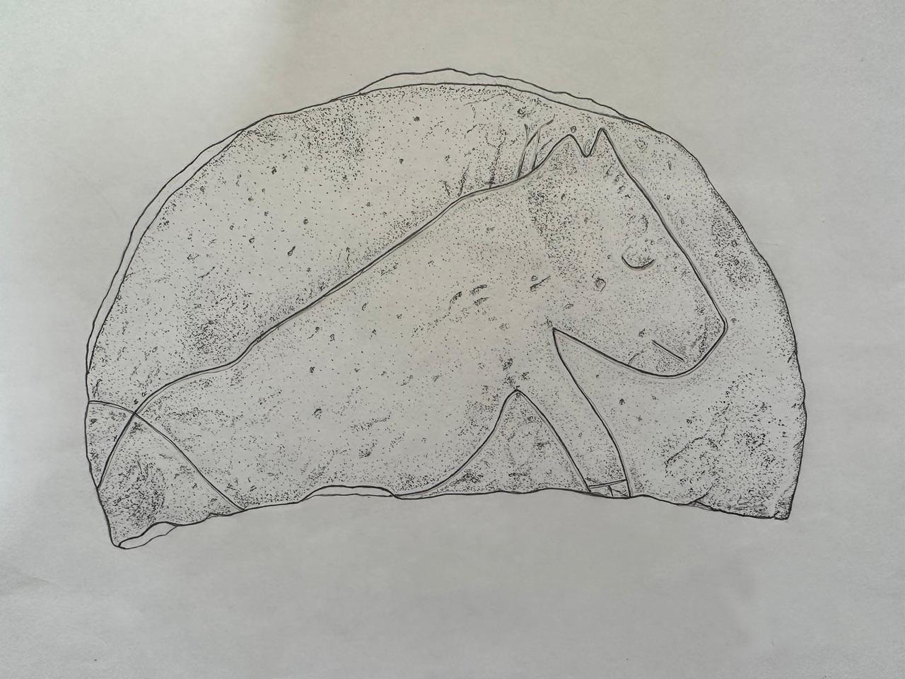 A technical drawing showing the baby wild boar engraving identified on the reverse side of a heavily used grinding stone from Sefertepe. (Photo via X/@arkeolojihaber)
