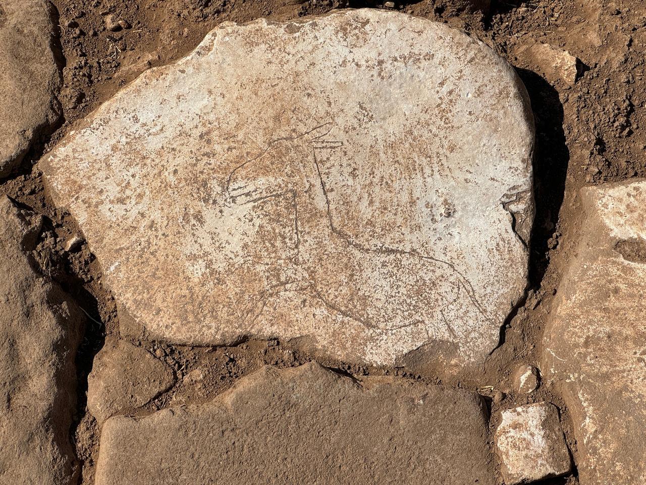 A view of the figure of a running wild donkey carved on stone from the Neolithic period during excavations at Karahantepe in Sanliurfa, Türkiye, Aug. 29, 2024 (AA Photo)