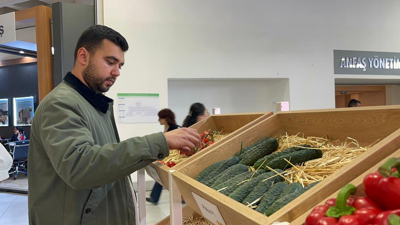 A visitor examines tomatoes displayed in wooden crates at Growtech Antalya Fair, Antalya, Türkiye, accessed on Dec. 7, 2025. (AA Photo)