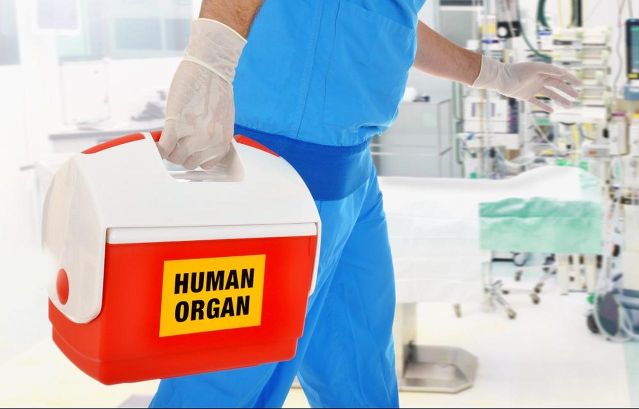Istanbul police arrest suspects in organ trafficking operation