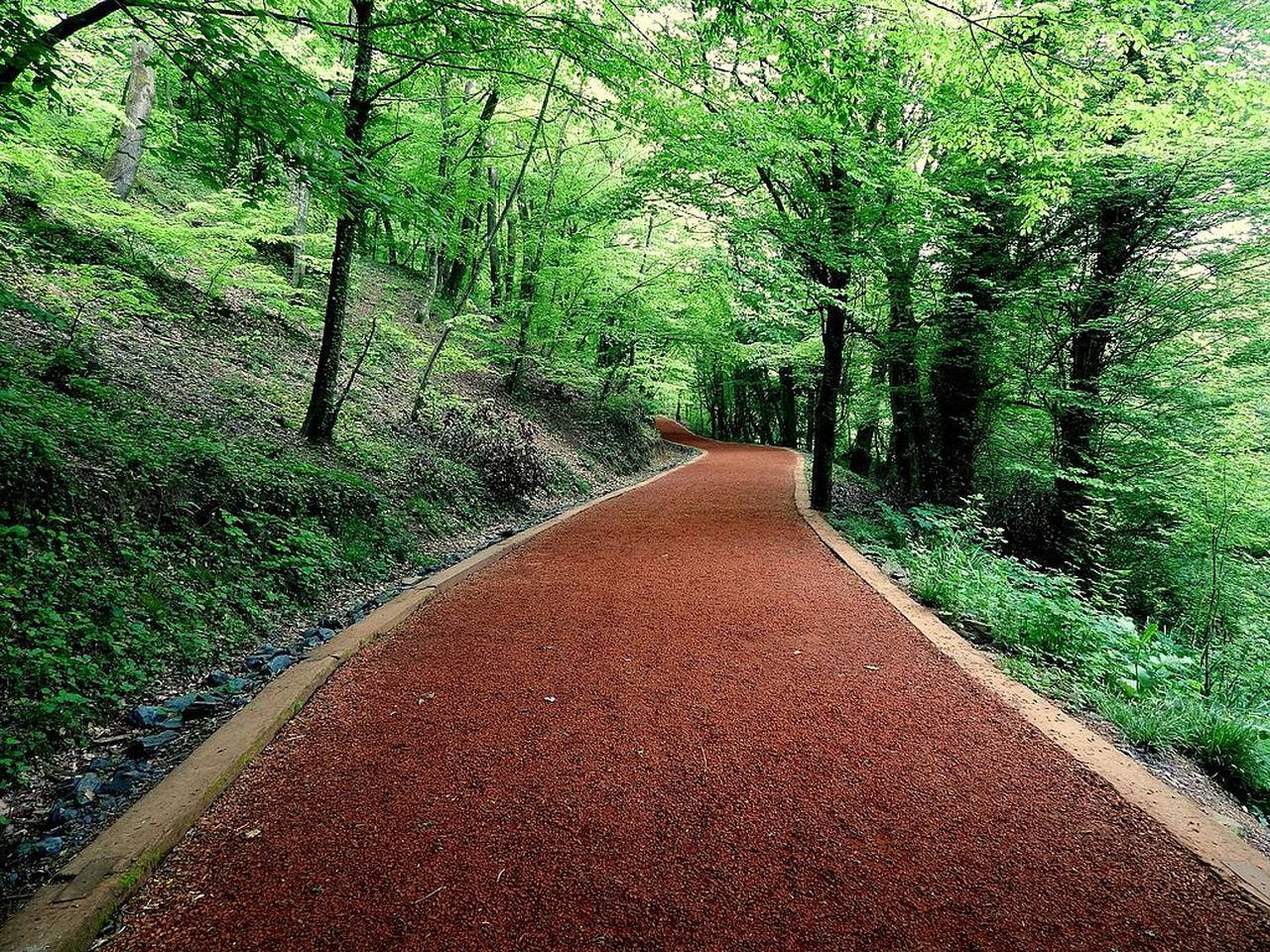 Istanbul’s most mesmerizing hiking trails