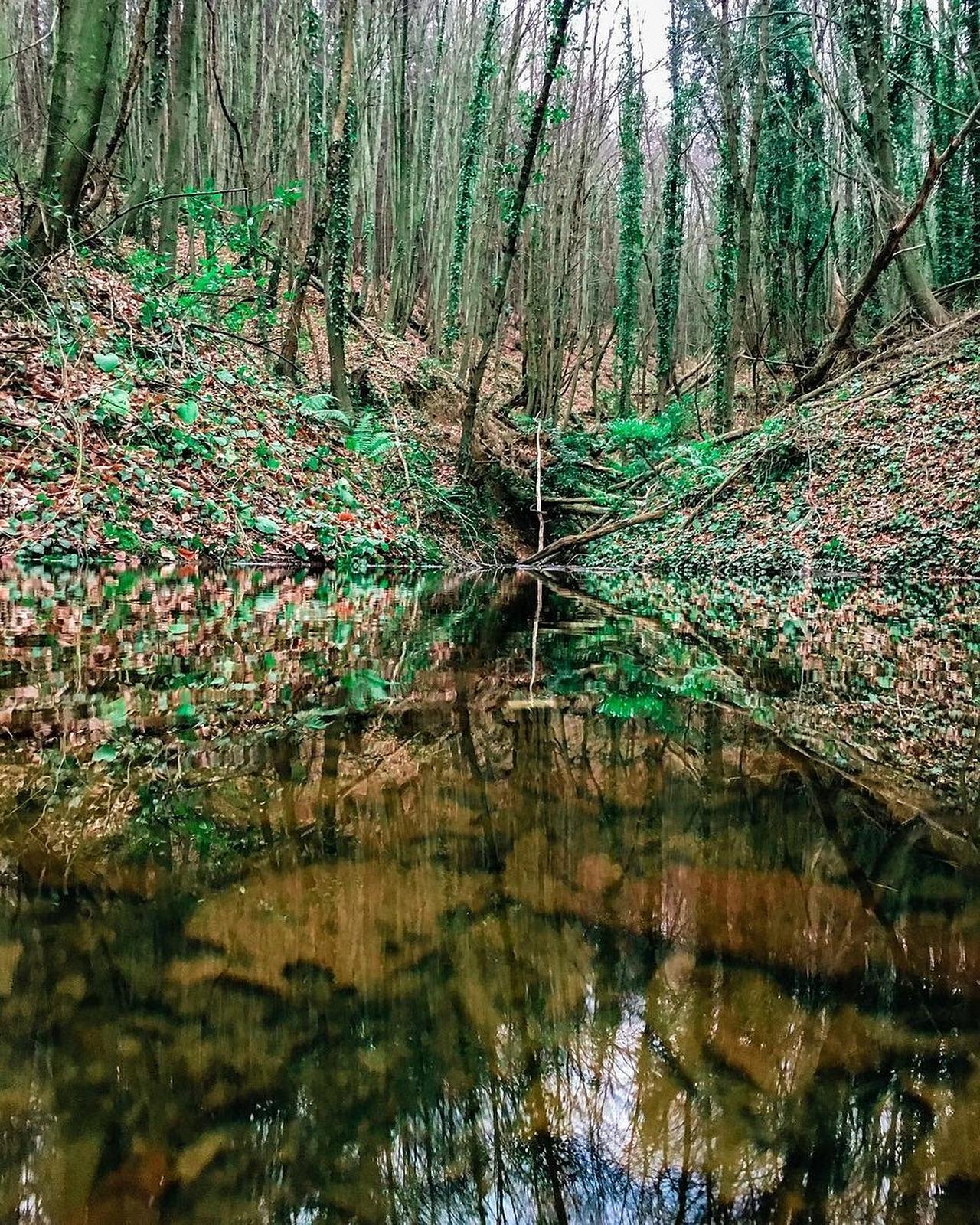 Istanbul’s most mesmerizing hiking trails