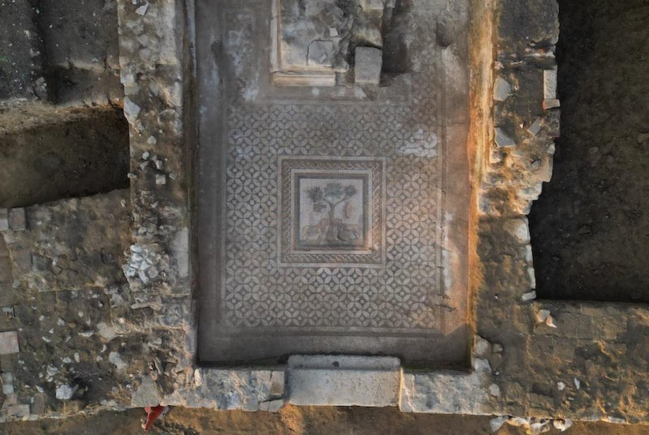 A lion mosaic is uncovered on the floor of a room identified as the "Cult Space of Dionysos" during excavations at the ancient city of Prusias ad Hypium in Duzce, Türkiye, November 15, 2023. (AA Photo)