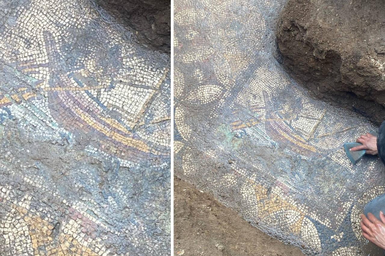A mosaic floor featuring detailed depictions of a galley and a deer was uncovered during excavation work in Iznik, Bursa, Türkiye, May 17, 2025. (IHA Photo)
