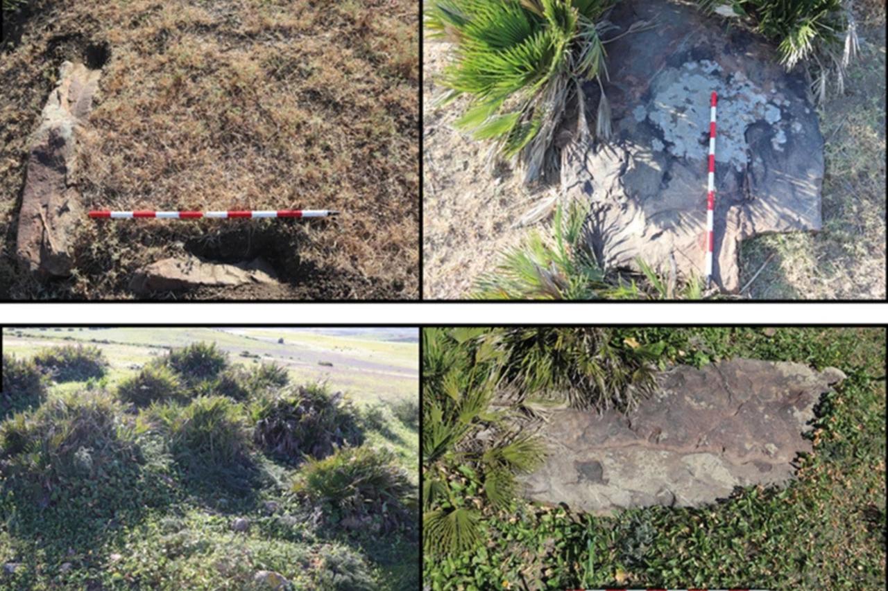 Photos of the newly discovered cist cemeteries and tumuli, 2025. (Photos via African Archaeological Review )