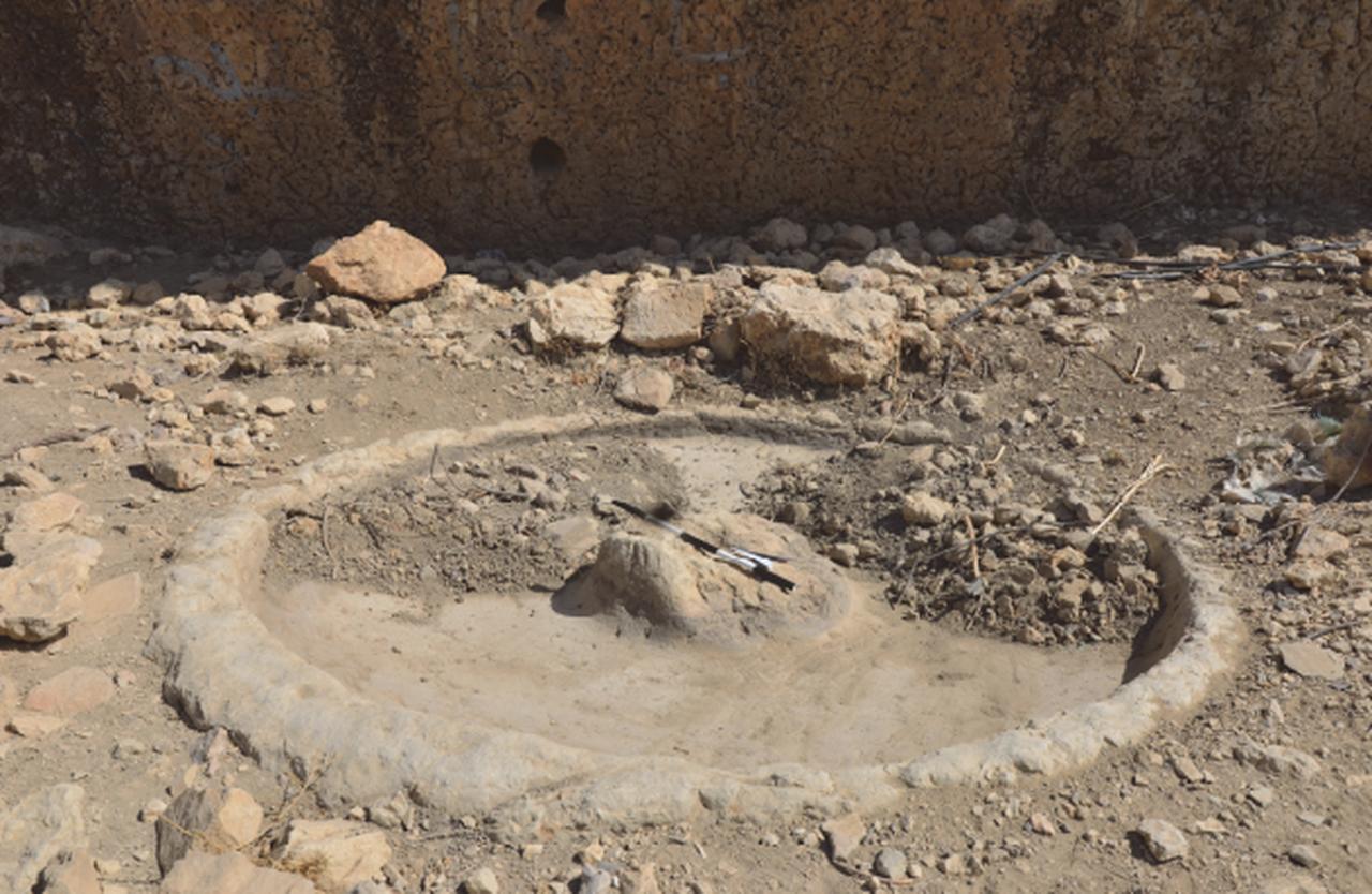 A cylindrical stone of the olive oil press, or for grinding grains. (Photo via M. R. Al-Rawahneh)