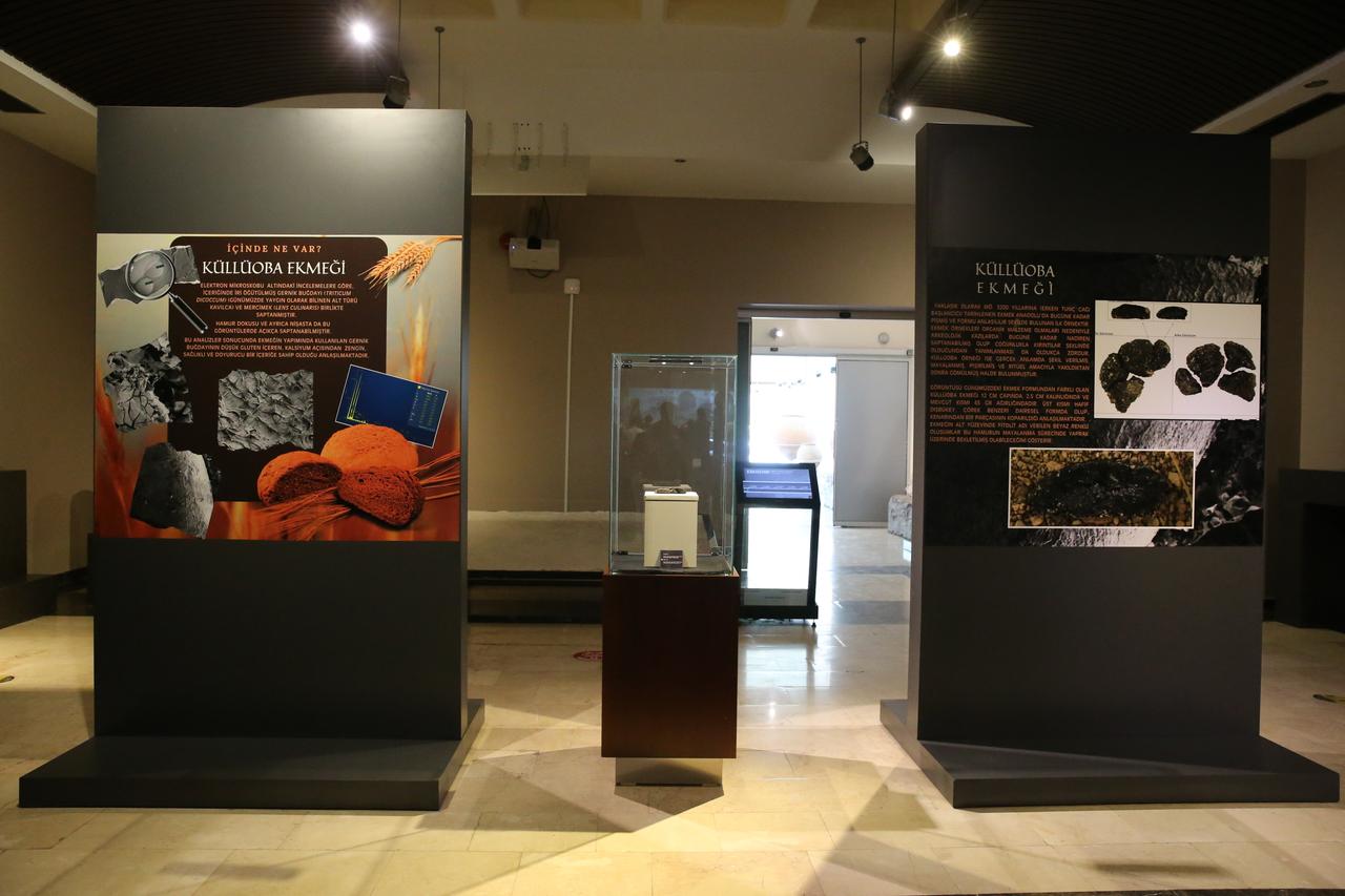 The 5,000-year-old “Kulluoba bread,” unearthed during ongoing excavations since 1996 at the Kulluoba Mound in Seyitgazi district of Eskisehir, is displayed at the ETI Archaeology Museum, Türkiye, May 21, 2025. (AA Photo)