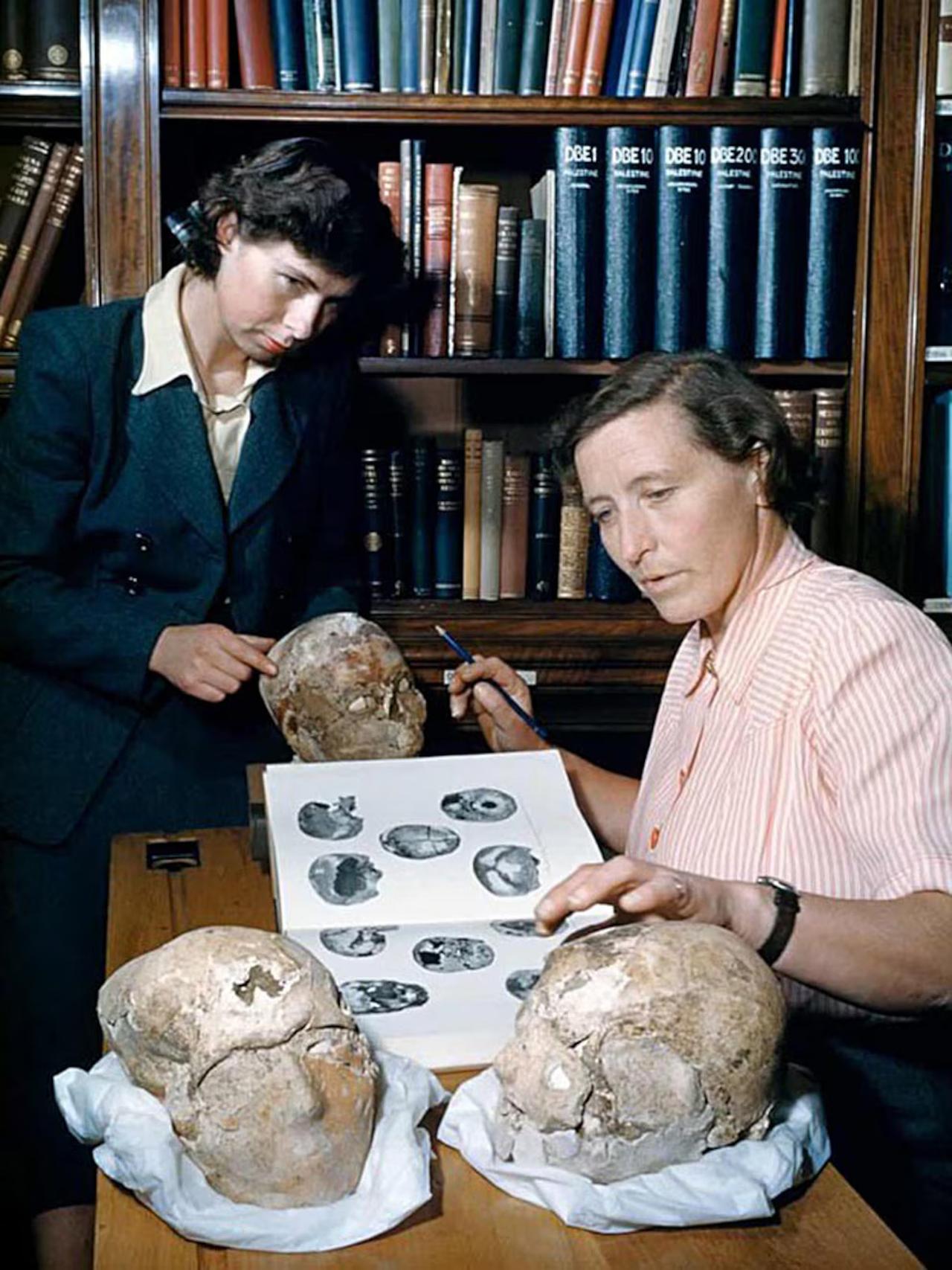 In this 1953 photo, archaeologist Kathleen Kenyon (right) and technician Cecil Western examine newly excavated plaster skulls at Tell es-Sultan near Jericho, with the famous Jericho Skull visible in the background. (Photo via David Boyer)